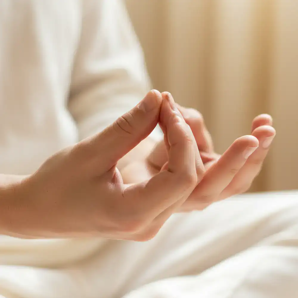 Close-up of hands resting in a mindful mudra position